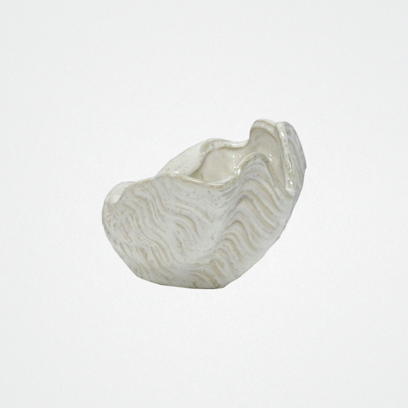 Clam Shell White 17cm